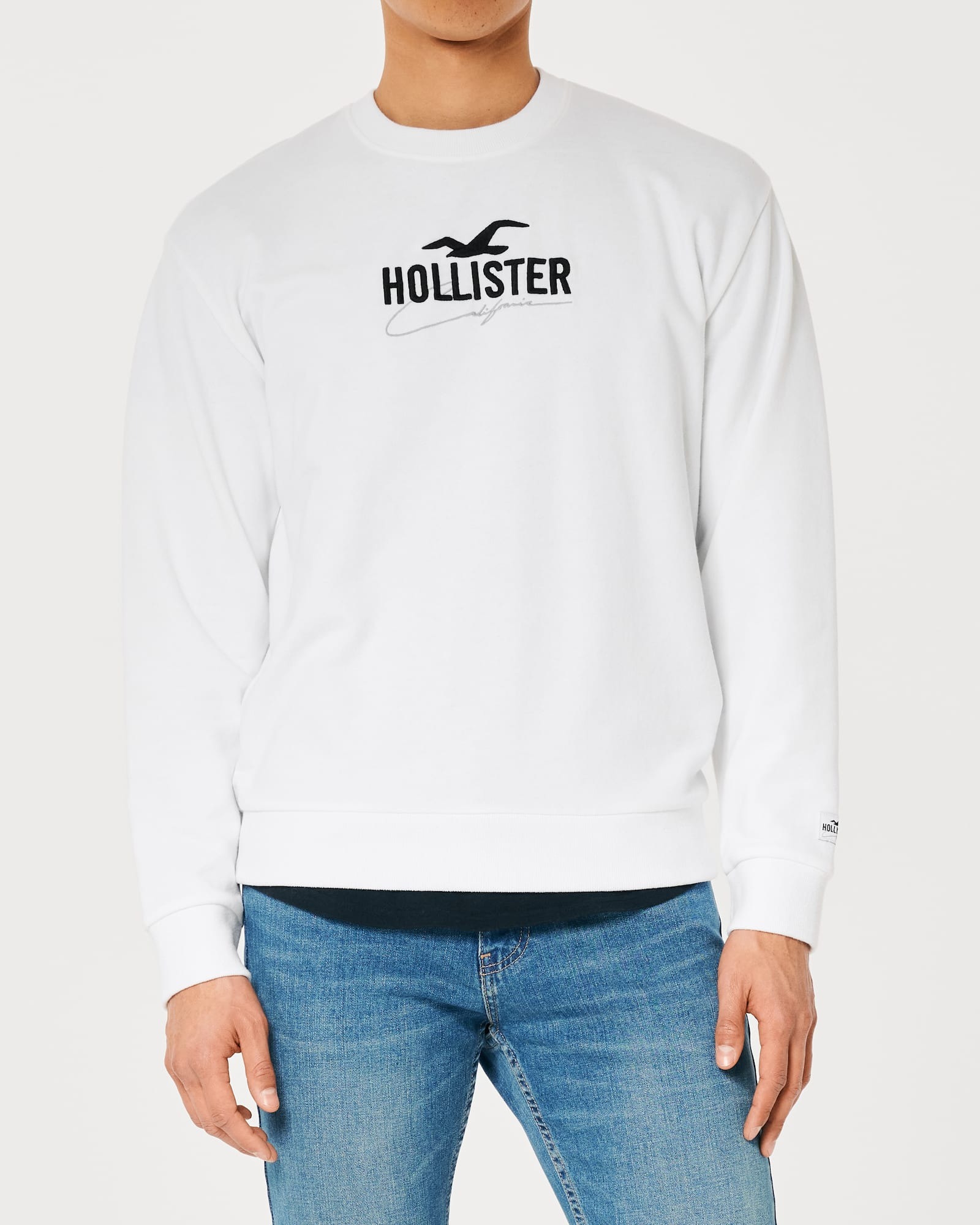 МУЖСКОЙ СВИТШОТ HOLLISTER