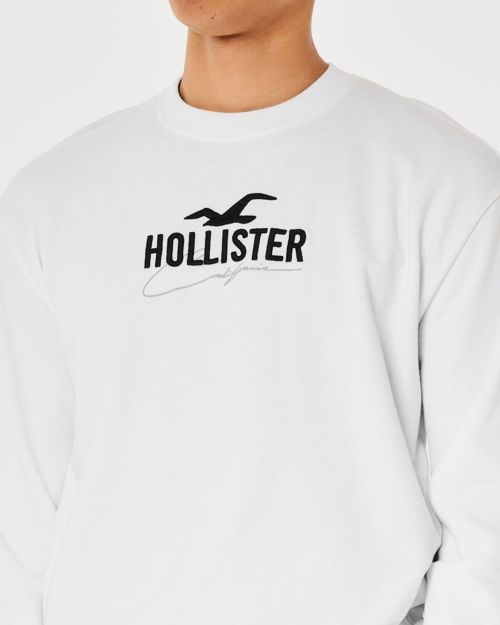 МУЖСКОЙ СВИТШОТ HOLLISTER