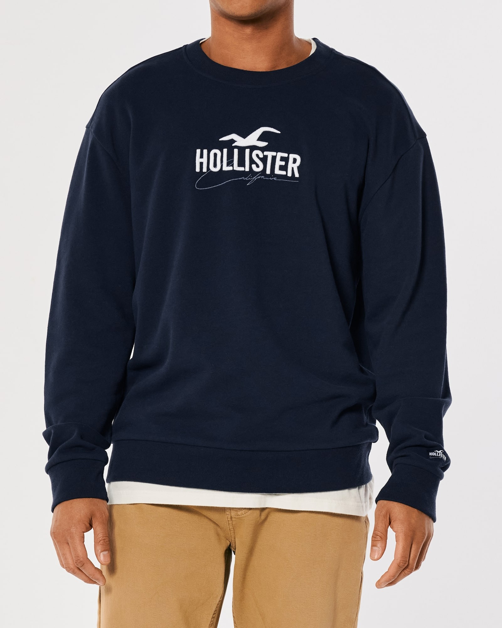 МУЖСКОЙ СВИТШОТ HOLLISTER