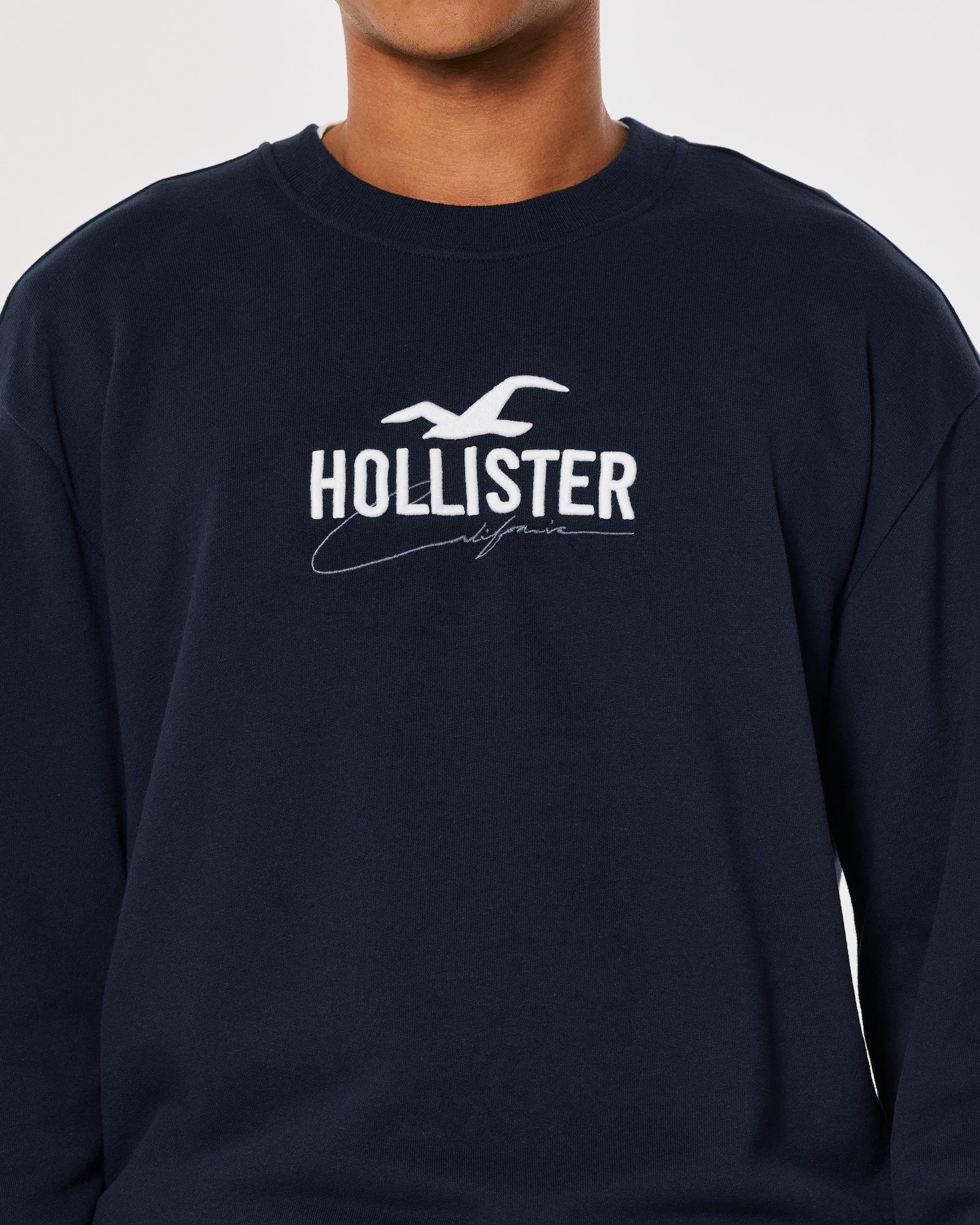 МУЖСКОЙ СВИТШОТ HOLLISTER