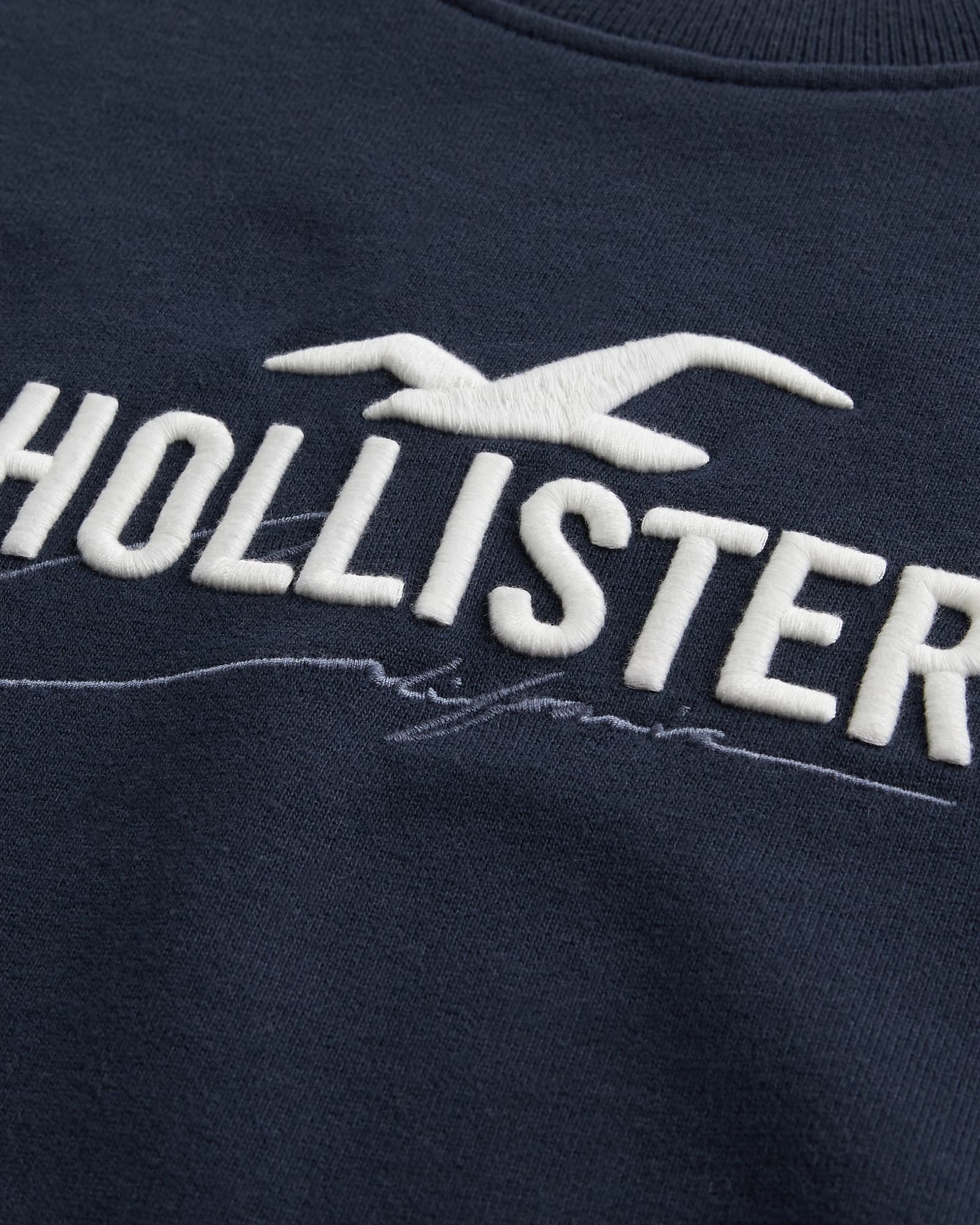 МУЖСКОЙ СВИТШОТ HOLLISTER