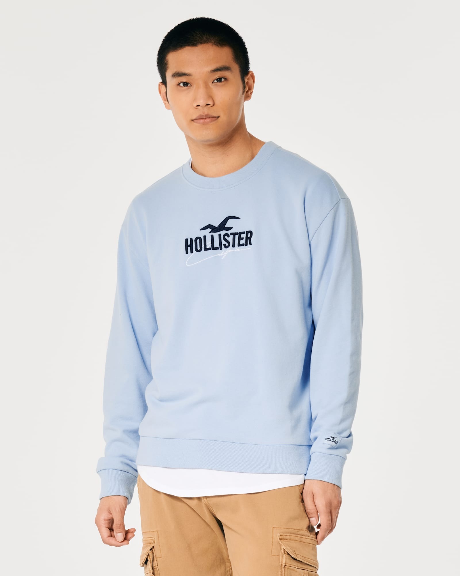 МУЖСКОЙ СВИТШОТ HOLLISTER