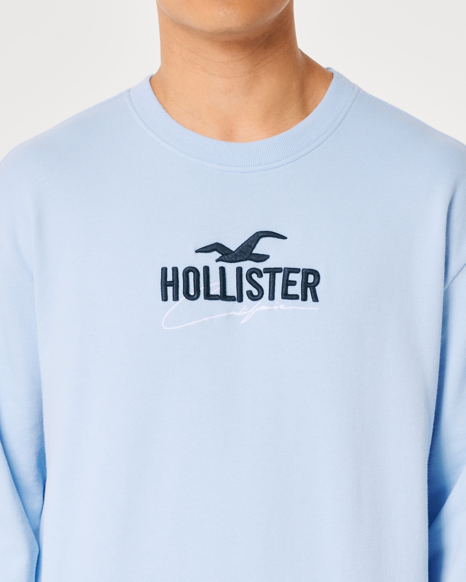 МУЖСКОЙ СВИТШОТ HOLLISTER