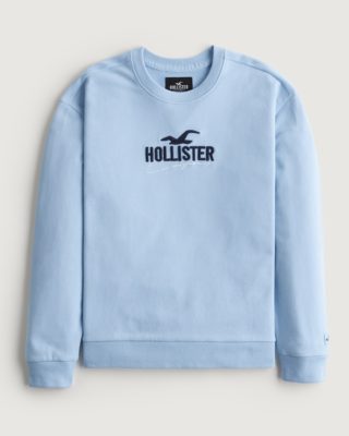 МУЖСКОЙ СВИТШОТ HOLLISTER