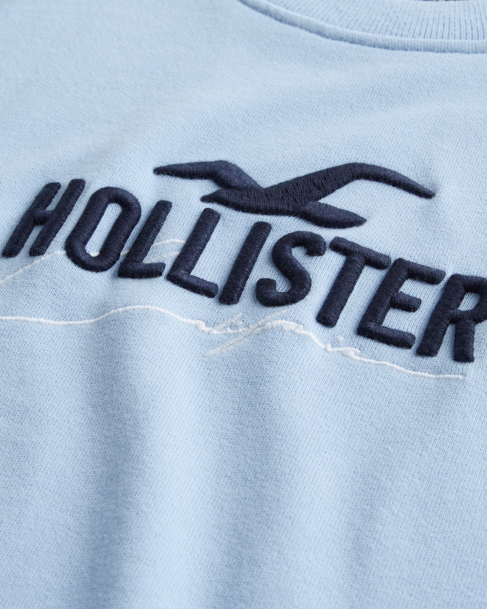 МУЖСКОЙ СВИТШОТ HOLLISTER