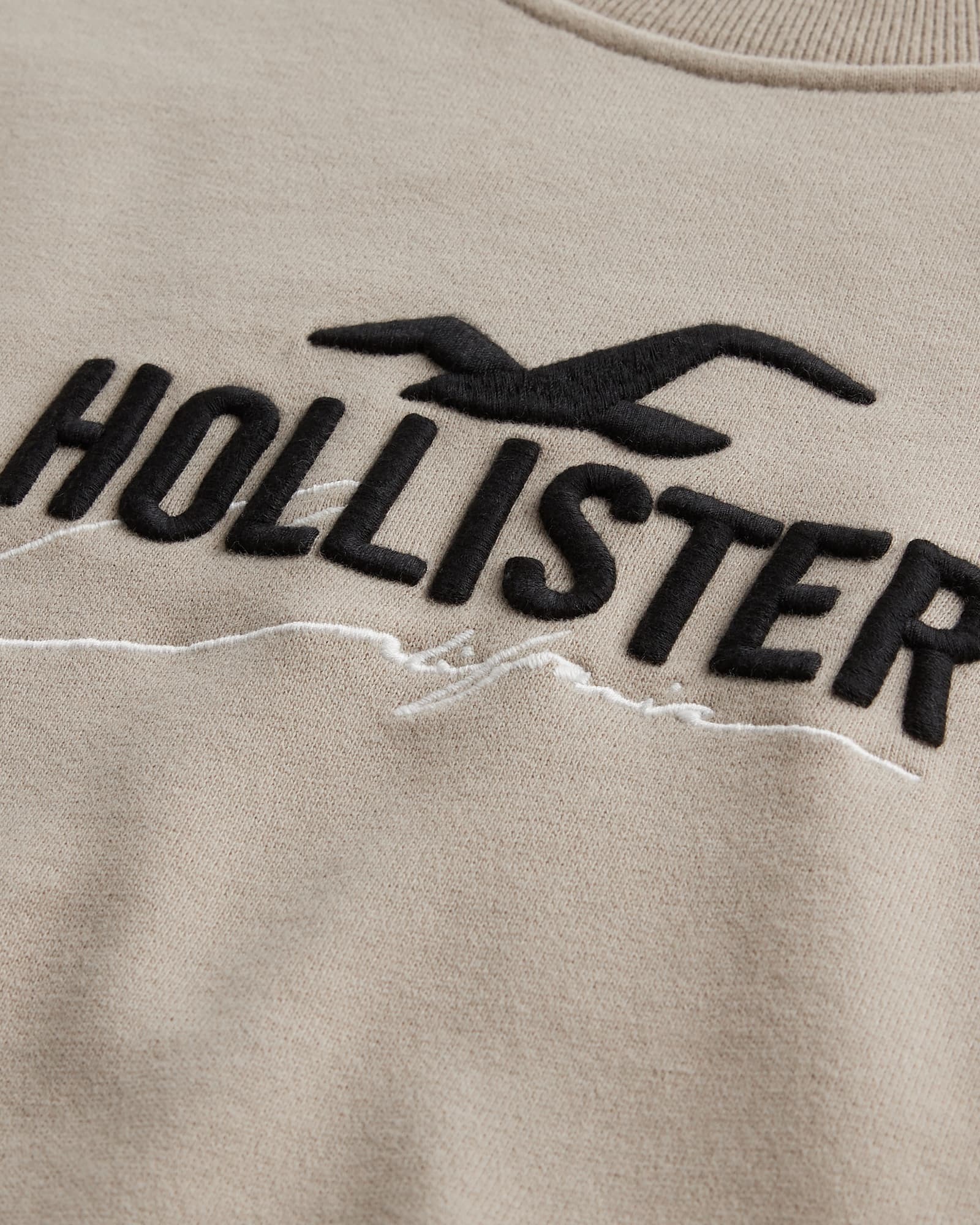 МУЖСКОЙ СВИТШОТ HOLLISTER