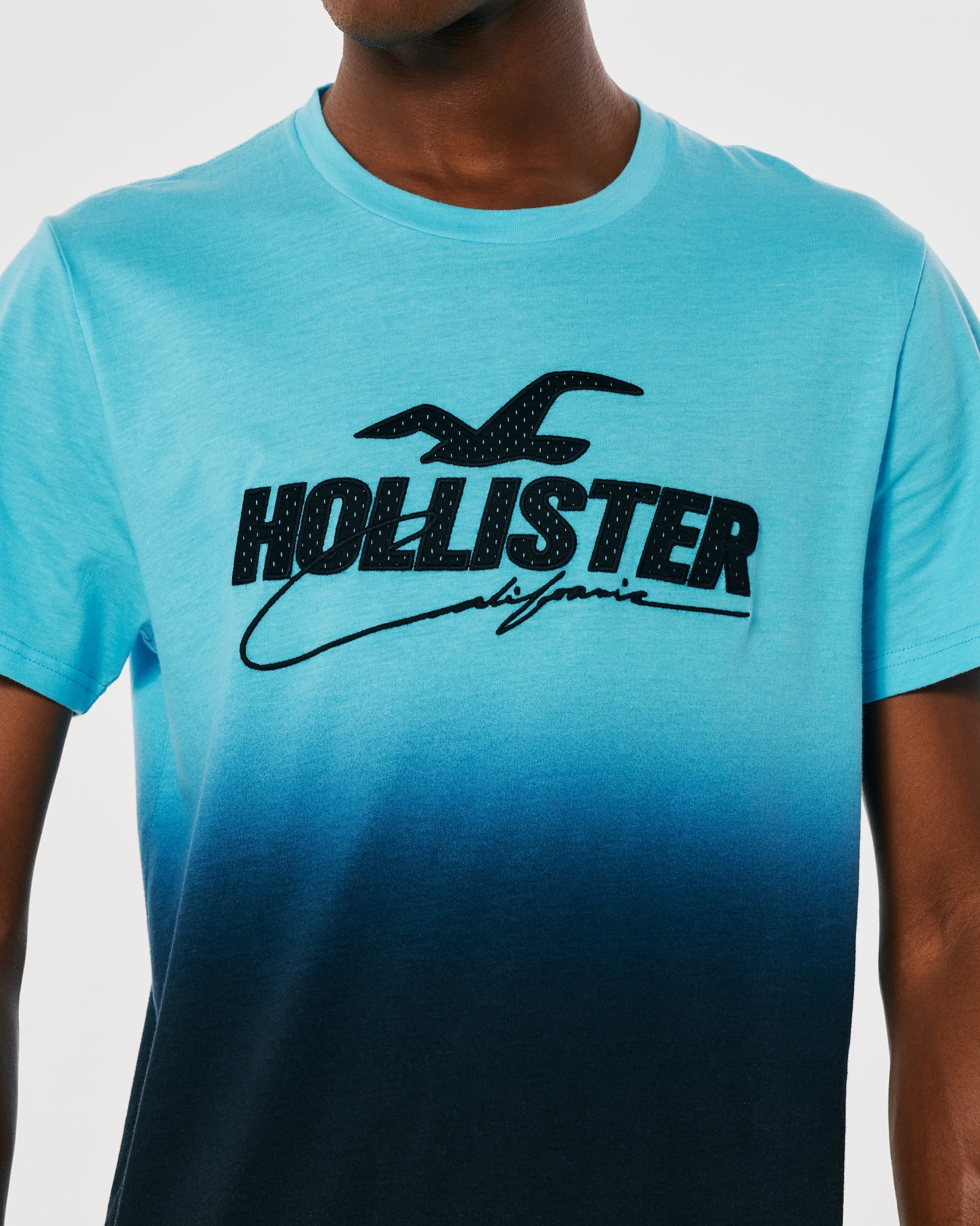 МУЖСКАЯ ФУТБОЛКА  HOLLISTER