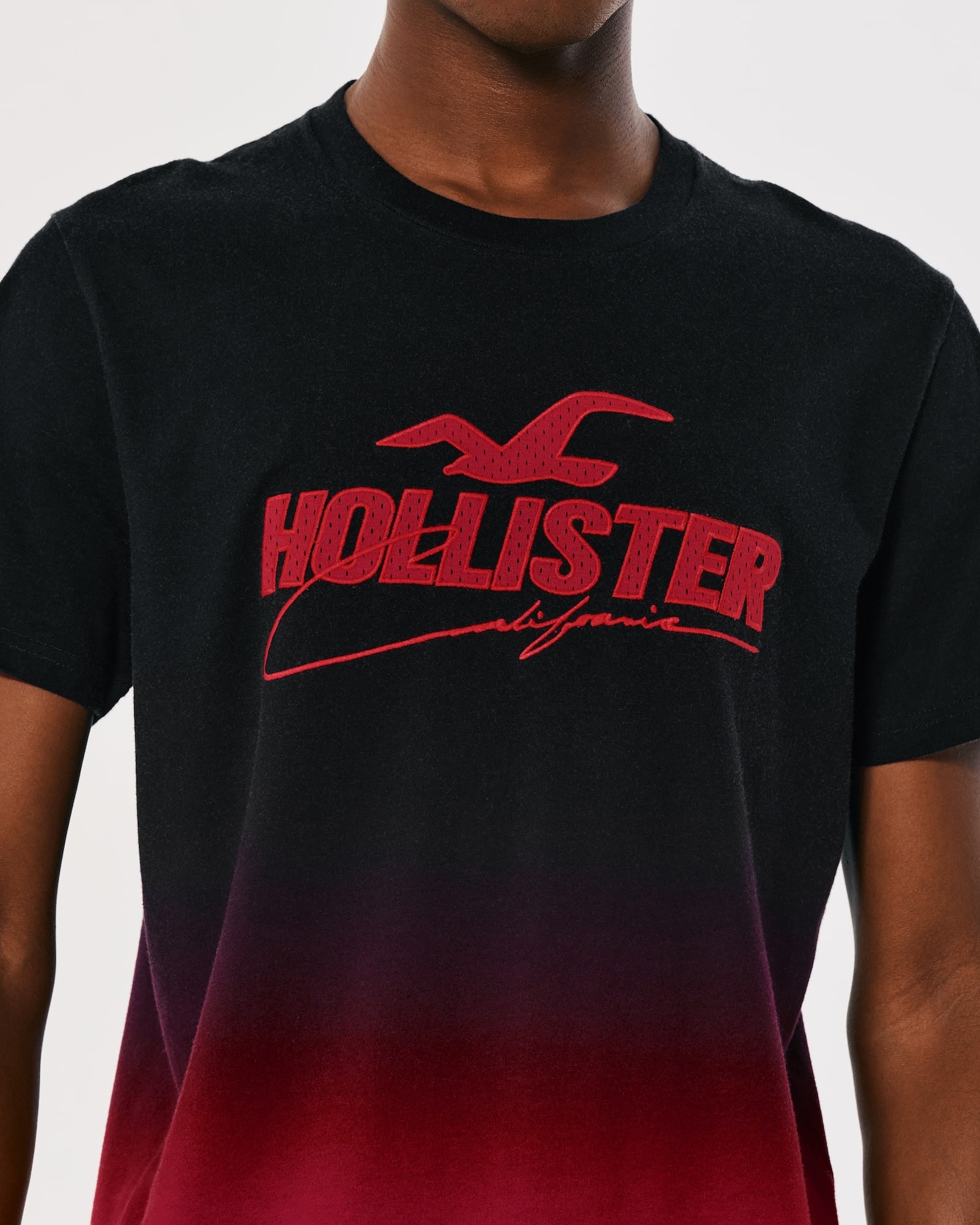 МУЖСКАЯ ФУТБОЛКА  HOLLISTER