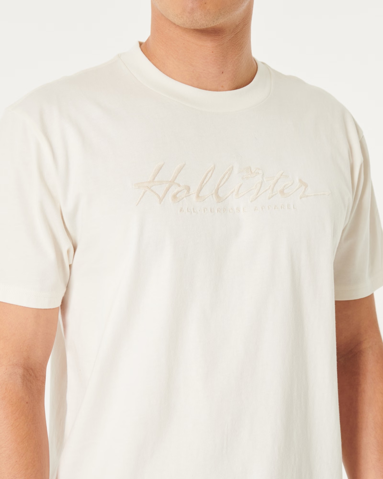 МУЖСКАЯ ФУТБОЛКА HOLLISTER