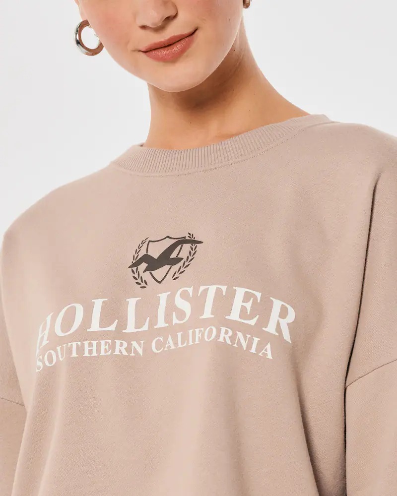 ЖЕНСКИЙ СВИТШОТ HOLLISTER