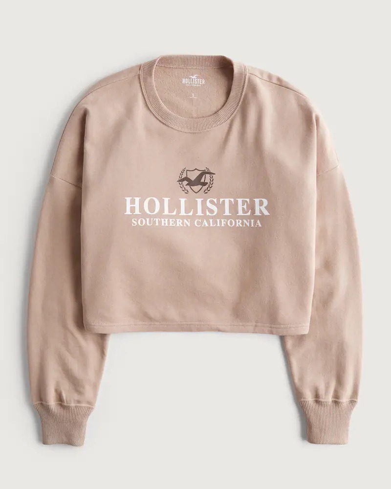 ЖЕНСКИЙ СВИТШОТ HOLLISTER