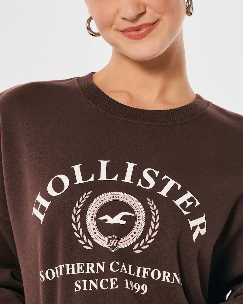 ЖЕНСКИЙ СВИТШОТ HOLLISTER