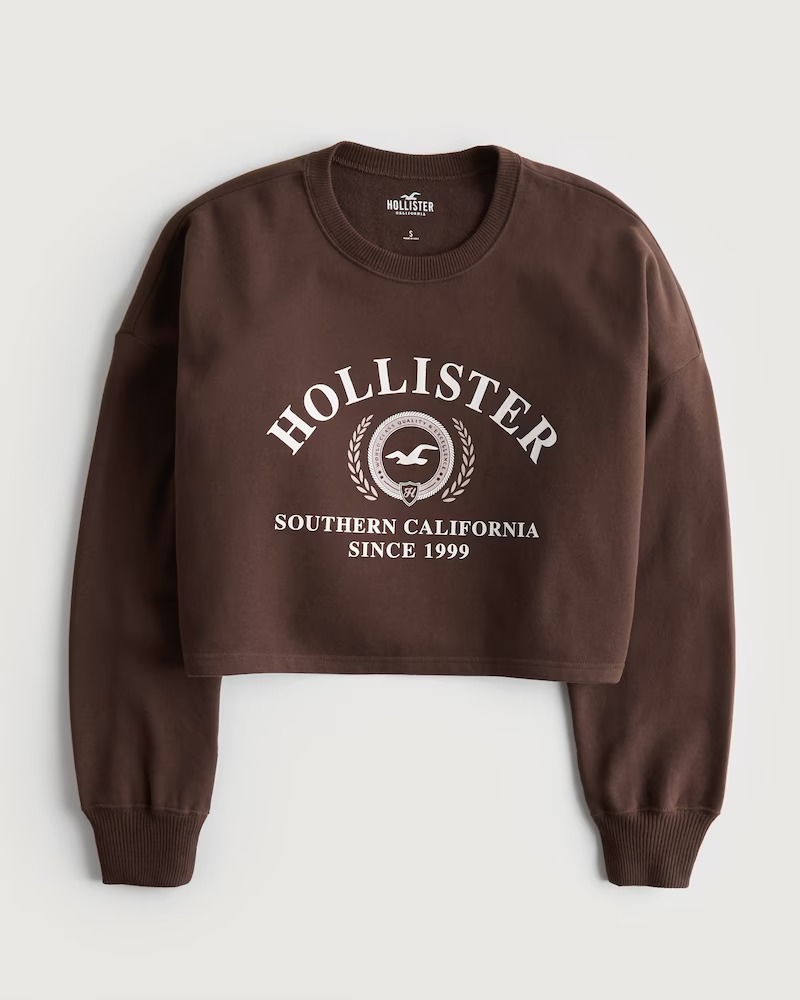 ЖЕНСКИЙ СВИТШОТ HOLLISTER