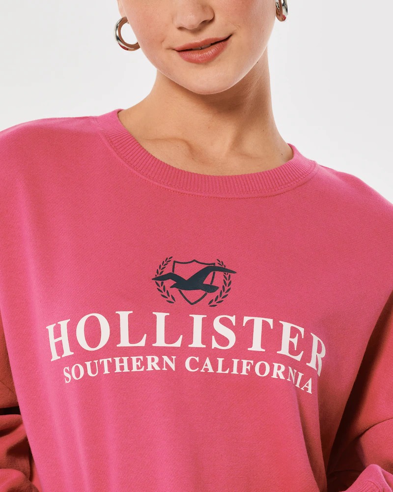 ЖЕНСКИЙ СВИТШОТ HOLLISTER